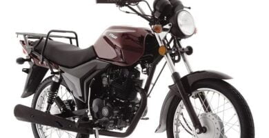 Descargar Manual Moto ITALIKA DT150 DELIVERY de Usuario Descarga en PDF GRATIS