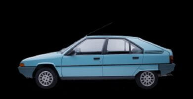 Diagramas Eléctricos Citroen ZX 2003 – Bandas de Tiempo y Distribución