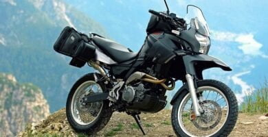 Descargar Manual Moto Aprilia Pegaso 650 2005 de Usuario Descarga en PDF GRATIS