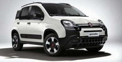 Diagramas Eléctricos Fiat Panda 2019 - Bandas de Tiempo y Distribución