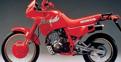 Manual Moto Honda NX 650 1988 Reparación y Servicio