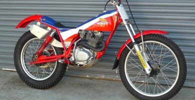 Descargar Manual Moto Honda TLR 200 1979 Reparación y Servicio