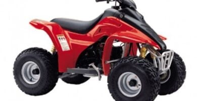 Descargar Manual Moto Hyosung WOW 90 DESCARGAR GRATIS