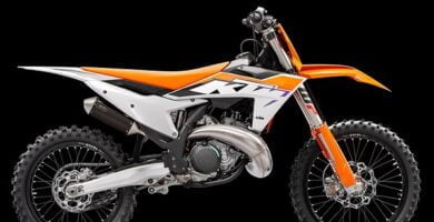 Descargar Manual Moto KTM 450 2002 Reparación y Servicio