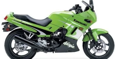Manual Moto Kawasaki 250 F2 2002 Reparaci贸n y Servicio