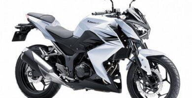 Descargar Manual Moto Kawasaki EL 250 de Usuario Descarga en PDF GRATIS