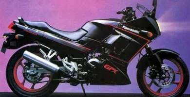 Manual Moto Kawasaki GPX 250 R 1989 ReparaciÃ³n y Servicio