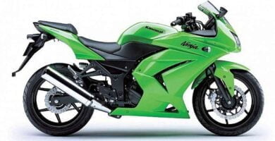 Descargar Manual Moto Kawasaki GPX 250 R 2002 Reparación y Servicio