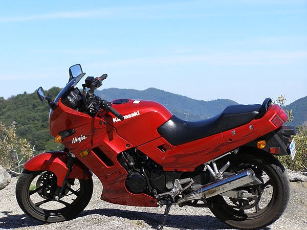 Manual Moto Kawasaki GPX 250 R 2004 Reparación y Servicio