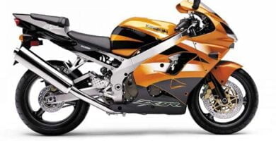 Descargar Manual Moto Kawasaki ZX 9R F1 2002 DESCARGAR GRATIS