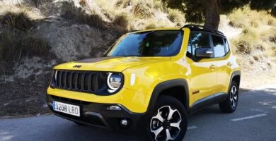 Diagramas Eléctricos Renegade 2021 – Bandas de Tiempo y Distribución