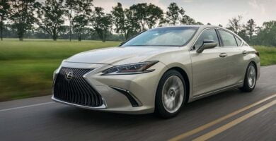 Diagramas Eléctricos Lexus ES300 2022 – Bandas de Tiempo y Distribución