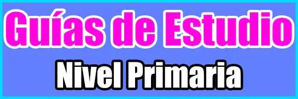 Guías de Estudio para nivel Primaria de todos los grados