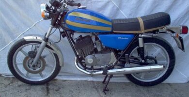 Descargar Manual Moto Guzzi 250 TS DESCARGAR GRATIS