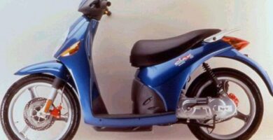 Descargar Manual Moto Malaguti Ciak 50 E1 Reparación y Servicio