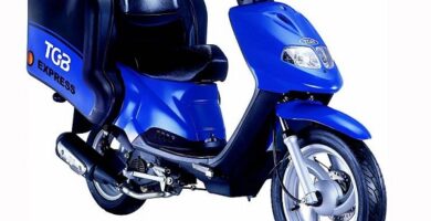 Descargar Manual Moto TGB Flex 400E Ranger DESCARGAR GRATIS