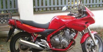 Descargar Manual Moto Yamaha FJ 600 1991 Reparación y Servicio