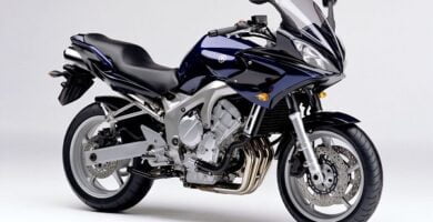 Descargar Manual Moto Yamaha FZS 600 de Usuario Descarga en PDF GRATIS