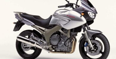 Descargar Manual Moto Yamaha TDM 900 R 2003 Reparación y Servicio