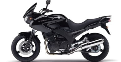 Descargar Manual Moto Yamaha TDM 900 de Usuario Descarga en PDF GRATIS