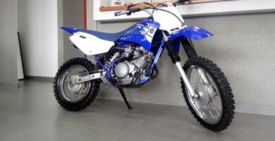 Descargar Manual Moto Yamaha TTR 125 DESCARGAR GRATIS