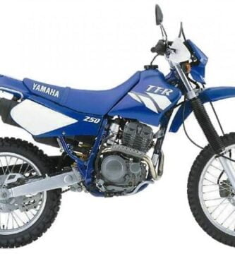 Descargar Manual Moto Yamaha TTR 250 L Reparación y Servicio