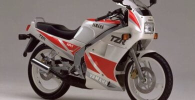 Manual Moto Yamaha TZR 125 1988 ReparaciÃ³n y Servicio