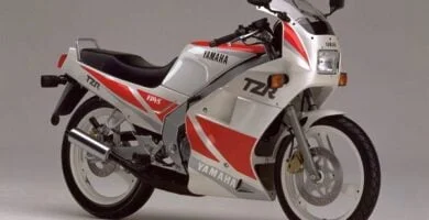 Manual Moto Yamaha TZR 125 1989 ReparaciÃ³n y Servicio