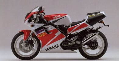 Descargar Manual Moto Yamaha TZR 250 de Usuario Descarga en PDF GRATIS