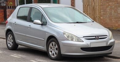 Diagramas Eléctricos Peugeot 307 1999 – Bandas de Tiempo y Distribución