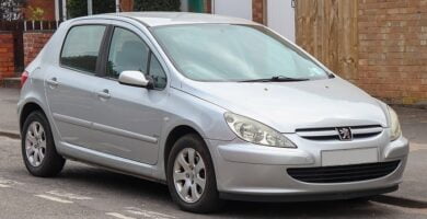 Diagramas Eléctricos Peugeot 307 2002 – Bandas de Tiempo y Distribución