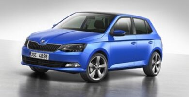 Diagramas Eléctricos Skoda Fabia 2015 Bandas de Tiempo y Distribución