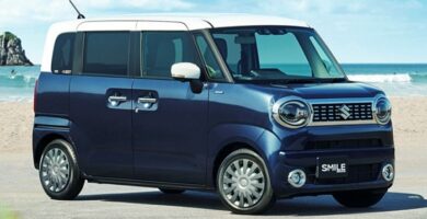 Diagramas Eléctricos Suzuki Wagon 2021 – Bandas de Tiempo y Distribución