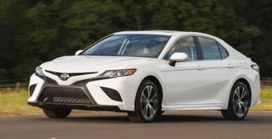 Diagramas Eléctricos Toyota Camry 2019 – Bandas de Tiempo y Distribución