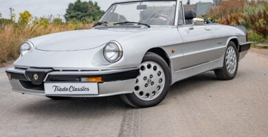 Descargar Manual Alfa Romeo Spider 1989 de Reparación Descarga PDF GRATIS