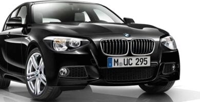 Descargar Manual PDF BMW 125d 2013 de Reparación DESCARGA GRATIS