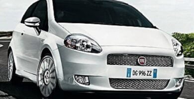 Descargar Catalogo de Partes FIAT Nuova Punto 2010 AutoPartes y Refacciones