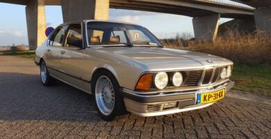 Descargar Manual PDF BMW Serie 7 E23 1984 de Reparación DESCARGA GRATIS