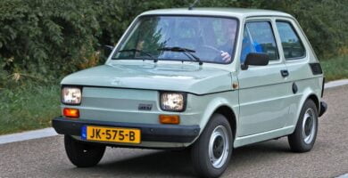 Descargar Catalogo de Partes FIAT 126 1988 AutoPartes y Refacciones