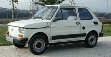 Descargar Catalogo de Partes FIAT 126 1990 AutoPartes y Refacciones