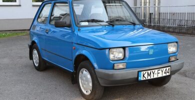 Descargar Catalogo de Partes FIAT 126 1996 AutoPartes y Refacciones