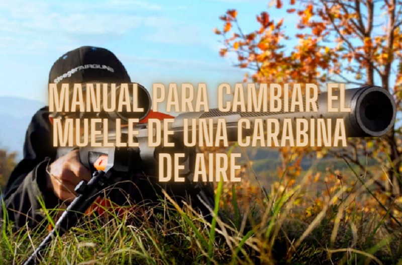 Descargar Manual para cambiar el muelle de una carabina de aire