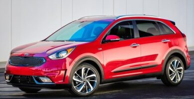 Descargar Manual KIA Niro Hybrid 2019 de Usuario