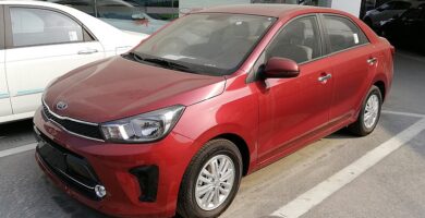 Descargar Manual KIA Pegas 2019 de Usuario