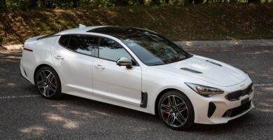 Descargar Manual KIA Stinger 2022 de Usuario