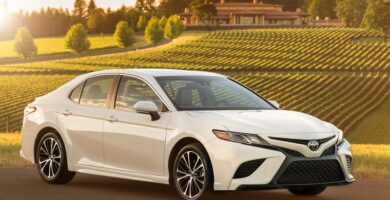 Descargar Manual Toyota Camry 2022 de Usuario