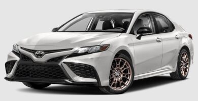 Descargar Manual Toyota Cambry hybrid 2023 de Usuario