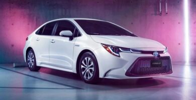 Descargar Manual Toyota Corolla hybrid 2023 de Usuario