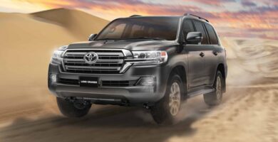 Descargar Manual Toyota Land Cruiser 2020 de Usuario