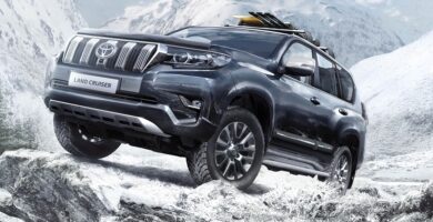 Descargar Manual Toyota Land Cruiser 2021 de Usuario